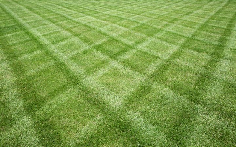 Lawn care Maintenance