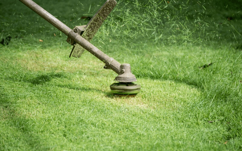Grass Eding & Trimming