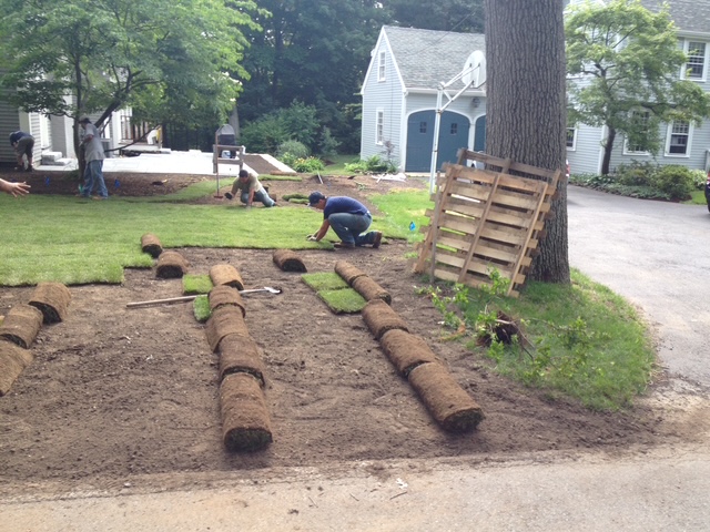 Grass Install For Landscaping Services
