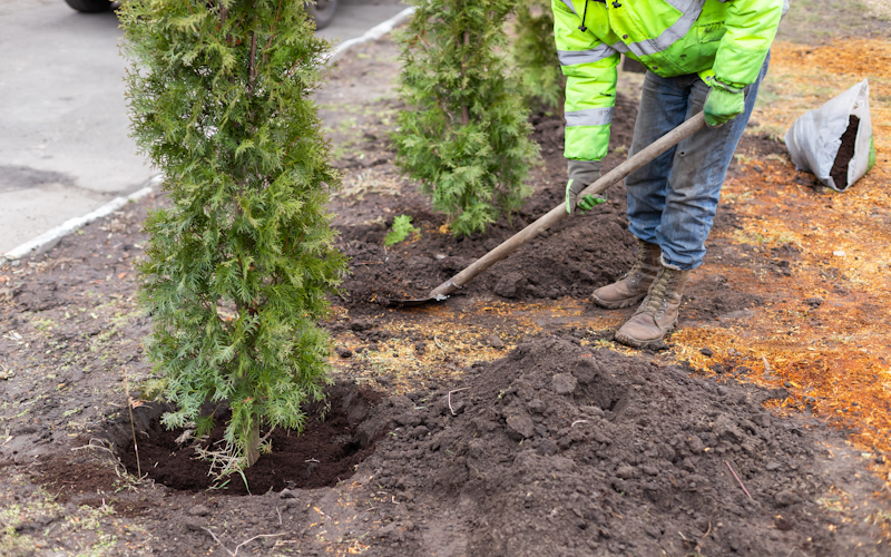 Wokrer Planting Trees