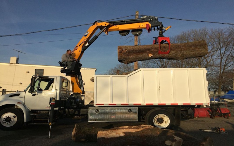Tree Care & Removal Services