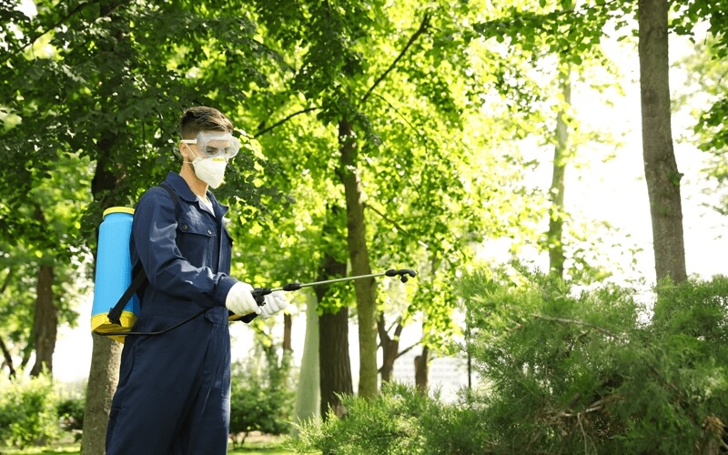 Worker Spraying Pest Control Pesticide on Lawn